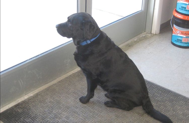 Coal &nbsp;Bauer